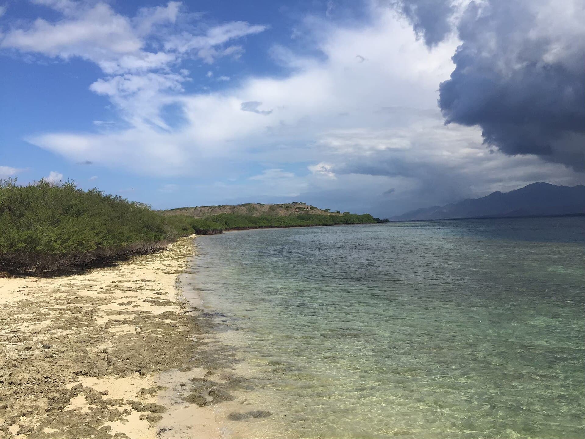 Strand met koraalrif en donkere wolken bij het Menjangan-eiland
