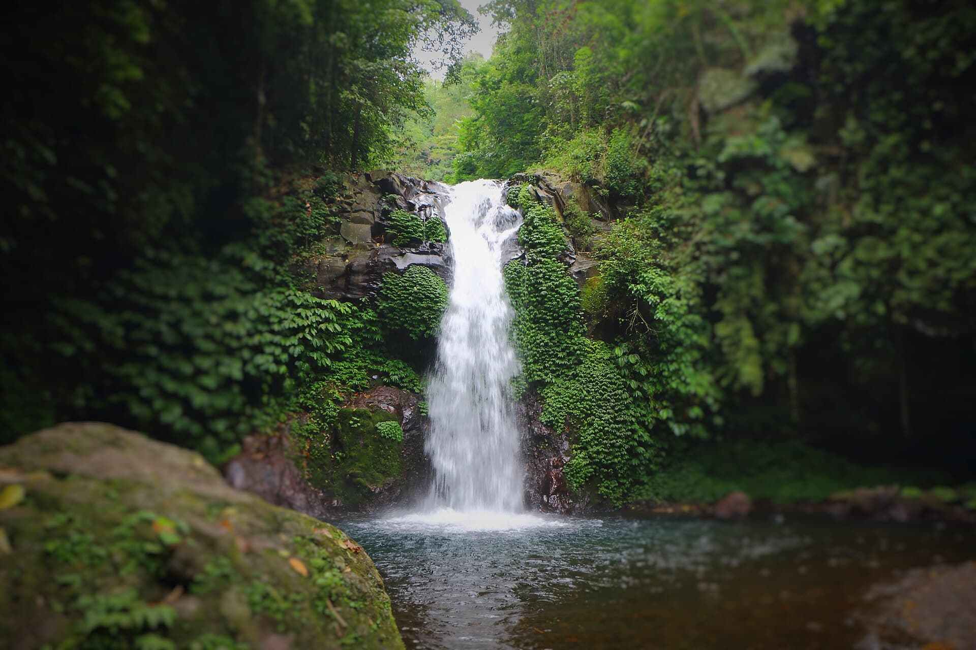 Gitgit-waterval die in een groen bassin stort, omringd door regenwoud